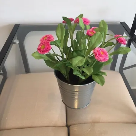 View Апартаменты *